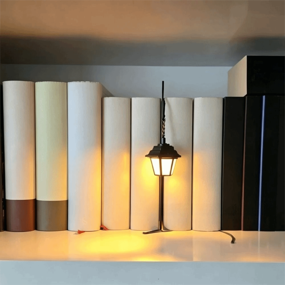 Photography Lighting Book - Nouvelle Lanterne LED Portable de Haute