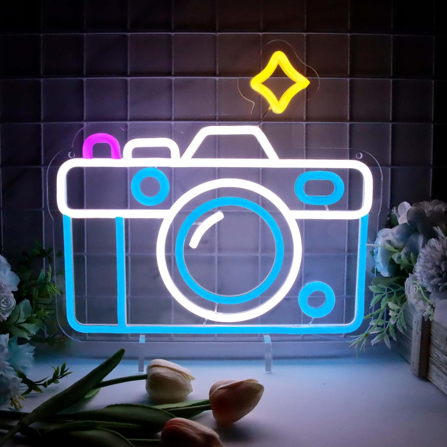 Photography Lighting Wall - Enseignes au néon pour la décoration
