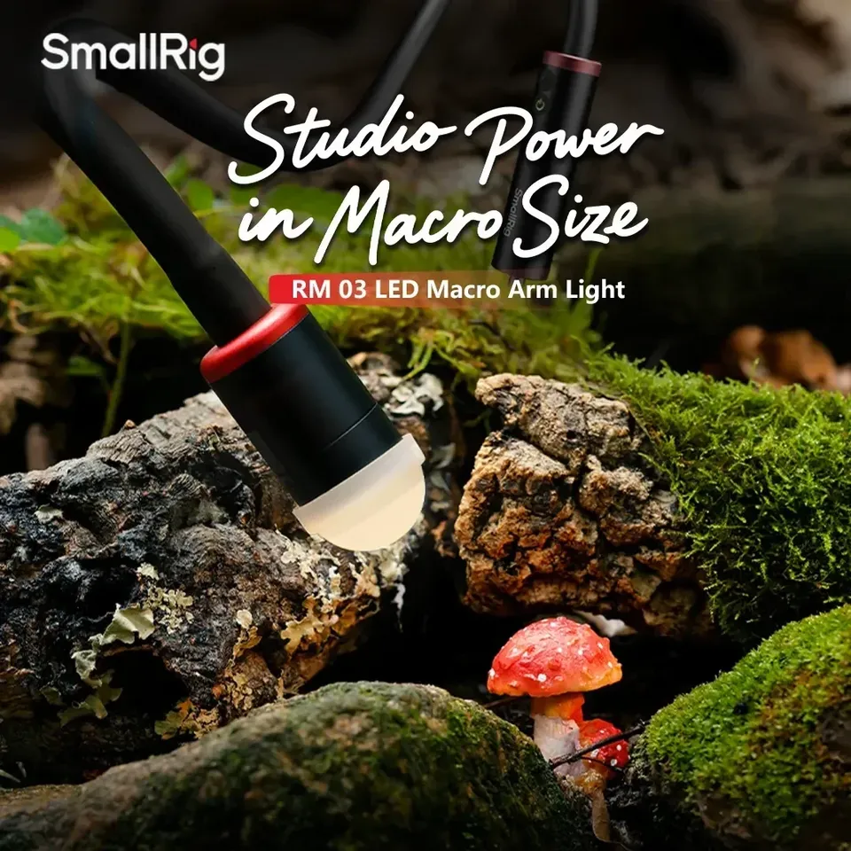 Pour Smallrig RM-03 3W LED Mac - Photography Lighting For Jewelry avis et prix