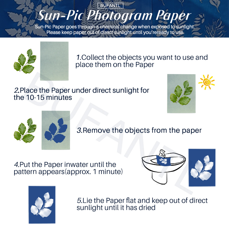Papier Cyanotype 12 Feuilles R - Lighting In Photography For Beginners avis et prix