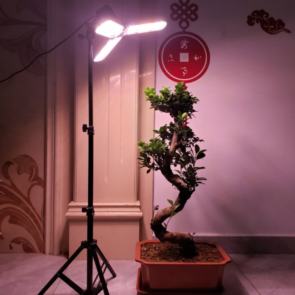 Support d'ampoule 2M, douille  - Photography Lighting With Umbrella avis et prix
