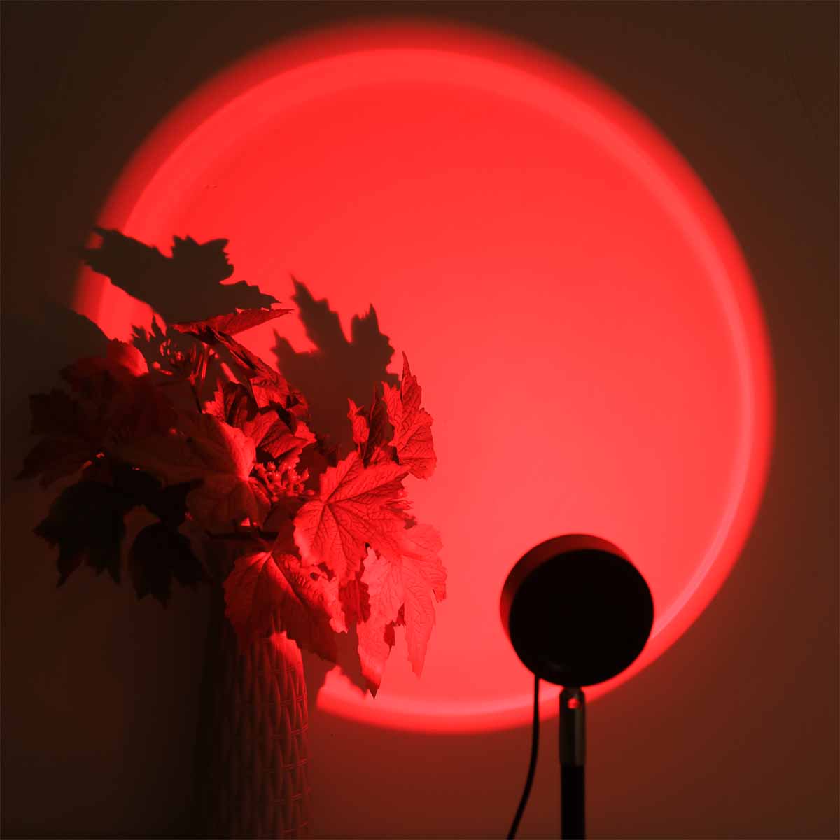 Lampe de projection coucher de - Photography Lighting Wall avis et prix