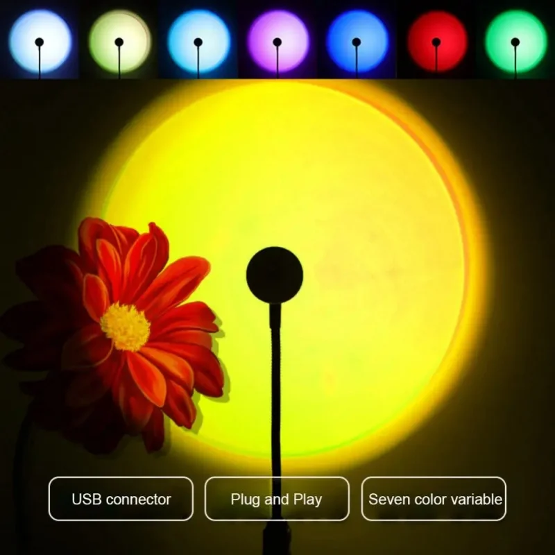 Mini lampe de coucher de solei - Photography Lighting Wall avis et prix