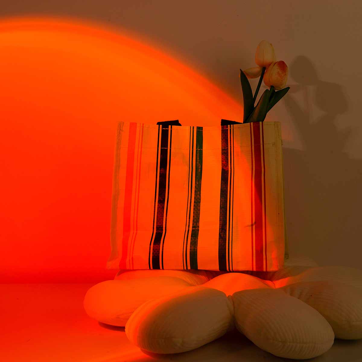 Lampe de projection coucher de - Photography Lighting Wall avis et prix